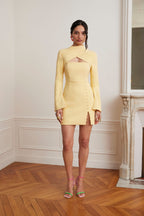 FIONA High Neck Mini Dress in Yellow Position 1