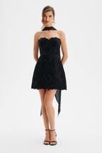 PALOMA Velvet Lace Mini Dress in Black Position 1