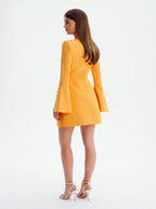 Avenyl V Neck Mini Dress in Orange - Sleek Design & Versatile St